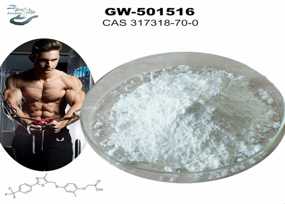 GW 501516 GSK-516 सरम्स जिम पाउडर बॉडीबिल्डिंग CAS 317318-70-0
