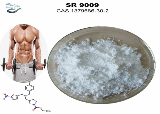 जिम पाउडर सार्म्स कसरत पूरक स्टेनबोली SR-9009 पूर्व कसरत CAS 1379686-30-2